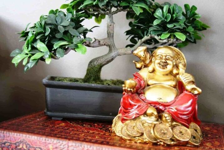 Glück und Wohlstand im Zuhause nach Feng Shui